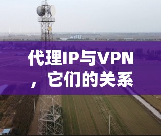 代理IP与VPN,它们的关系与区别 代理IP与VPN,它们的关系与区别