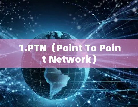 1.PTN（Point To Point Network）