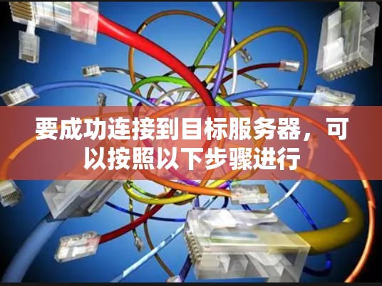 要成功连接到目标服务器，可以按照以下步骤进行