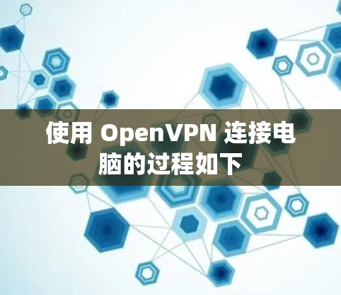 使用 OpenVPN 连接电脑的过程如下