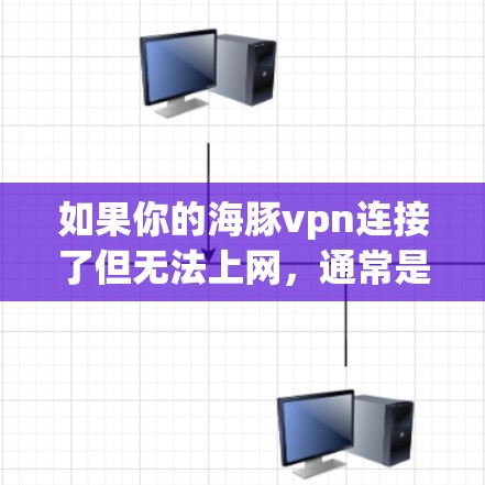 如果你的海豚vpn连接了但无法上网，通常是因为以下原因导致的