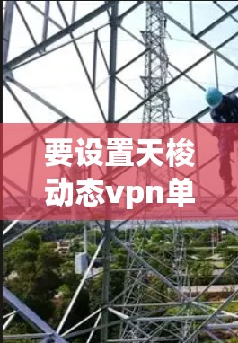 要设置天梭动态vpn单窗口单IP，您可以按照以下步骤操作