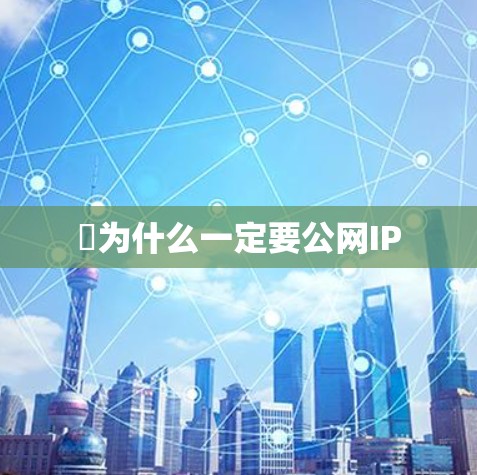罀为什么一定要公网IP