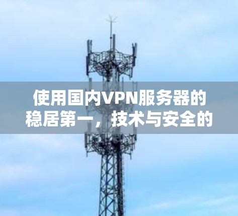 使用国内VPN服务器的稳居第一，技术与安全的完美结合