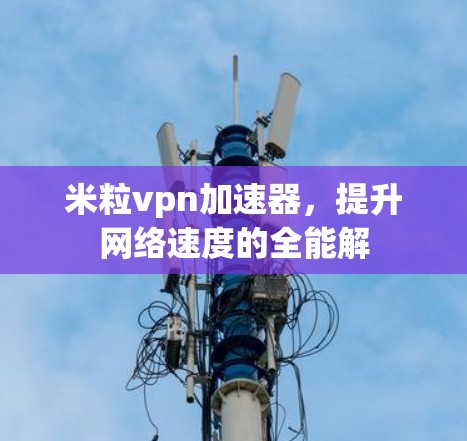 米粒vpn加速器，提升网络速度的全能解