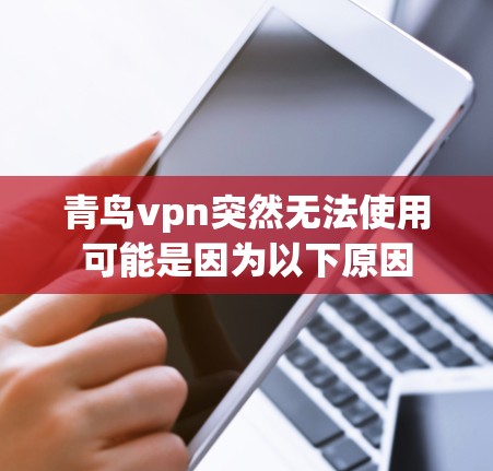 青鸟vpn突然无法使用可能是因为以下原因