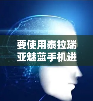 要使用泰拉瑞亚魅蓝手机进行VPN，您可以按照以下步骤操作