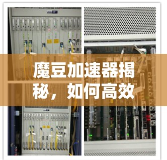 魔豆加速器揭秘，如何高效使用，轻松解决VPN问题