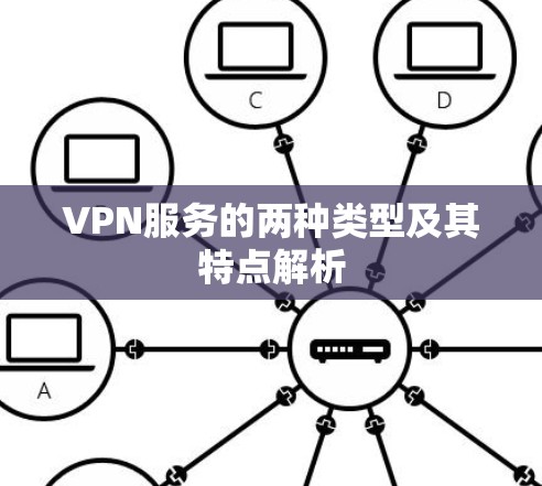 VPN服务的两种类型及其特点解析