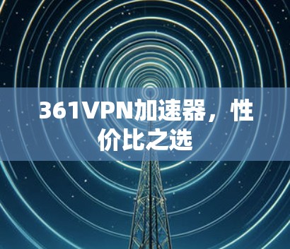 361VPN加速器，性价比之选