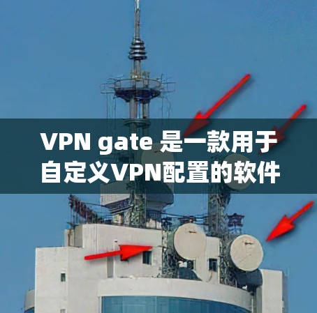 VPN gate 是一款用于自定义VPN配置的软件，允许用户设置IP地址、防火墙、配置文件等。以下是使用VPN gate 的基本步骤