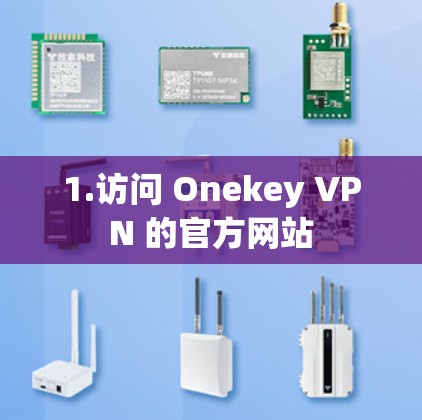 1.访问 Onekey VPN 的官方网站
