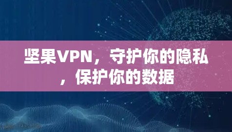坚果VPN，守护你的隐私，保护你的数据