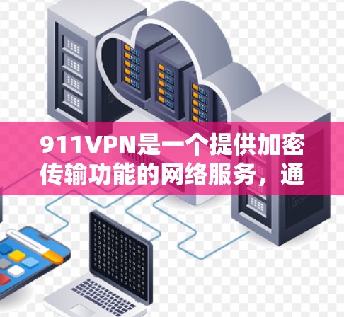 911VPN是一个提供加密传输功能的网络服务，通常用于保护用户在网络上的隐私和安全。然而，下载和使用此类服务时，需要遵循一定的安全规范，并采取适当的防范措施
