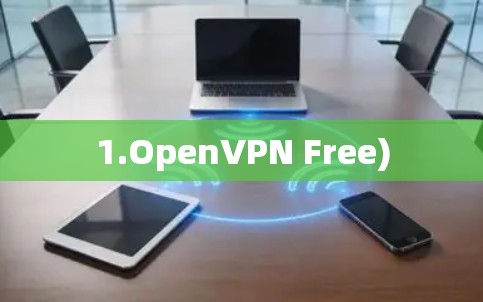1.OpenVPN Free)