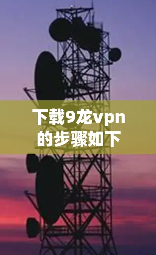 下载9龙vpn的步骤如下