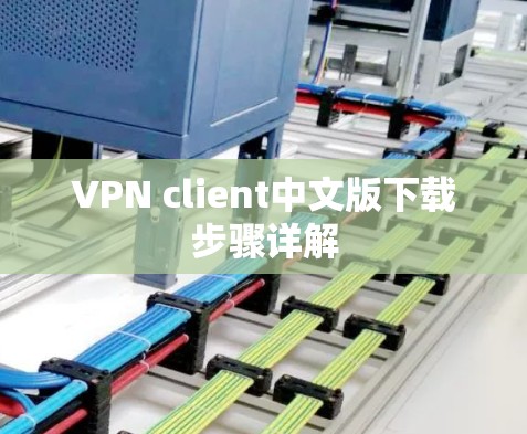 VPN client中文版下载步骤详解