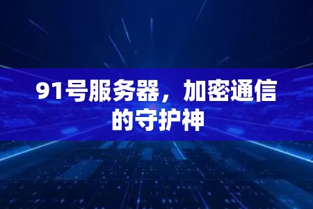 91号服务器，加密通信的守护神