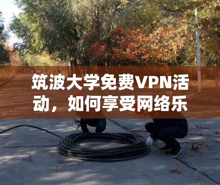 筑波大学免费VPN活动，如何享受网络乐趣