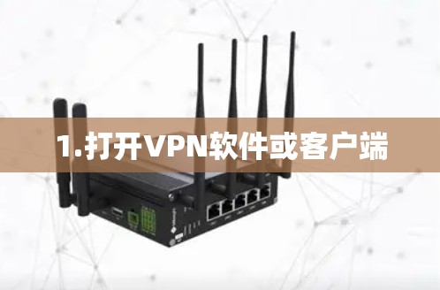 1.打开VPN软件或客户端