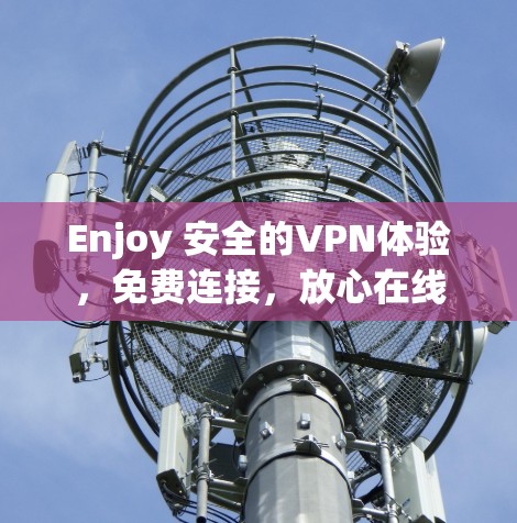 Enjoy 安全的VPN体验，免费连接，放心在线