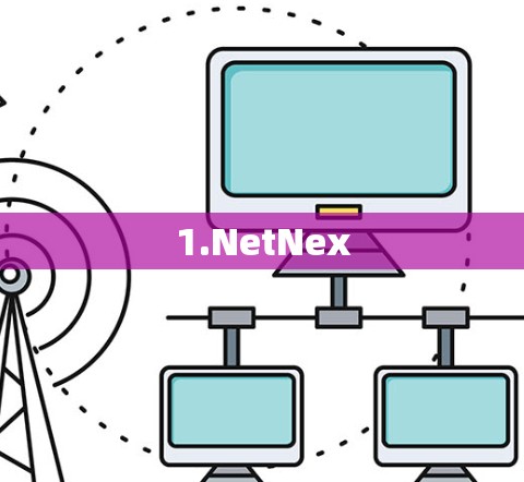 1.NetNex