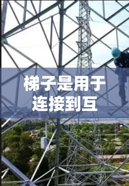 梯子是用于连接到互联网的服务器服务，通常由企业或个人使用以提供可靠和安全的网络环境。如果你需要下载梯子的加速器，可能是指安装或使用梯子来连接到服务器。以下是关于如何使用梯子加速器的步骤