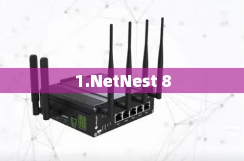 1.NetNest 8