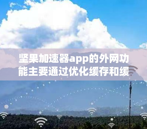 坚果加速器app的外网功能主要通过优化缓存和缓存大小来提升网络速度。以下是详细的步骤指南