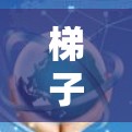 梯子外网加速器蜜蜂