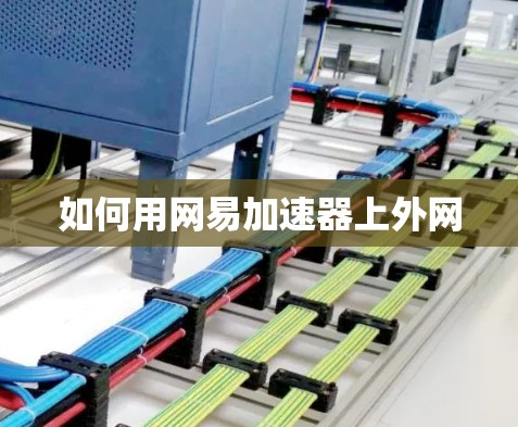 如何用网易加速器上外网