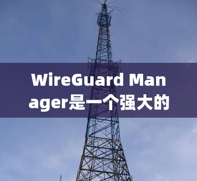 WireGuard Manager是一个强大的网络保护工具,能够有效防止DDoS攻击、网络攻击、数据窃取和数据泄露。以下是一个系统化的使用指南 WireGuard Manager是一个强大的网络保护工具,能够有效防止DDoS攻击、网络攻击、数据窃取和数据泄露。以下是一个系统化的使用指南
