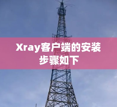 Xray客户端的安装步骤如下
