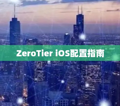 ZeroTier iOS配置指南