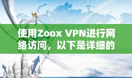 使用Zoox VPN进行网络访问，以下是详细的步骤指南
