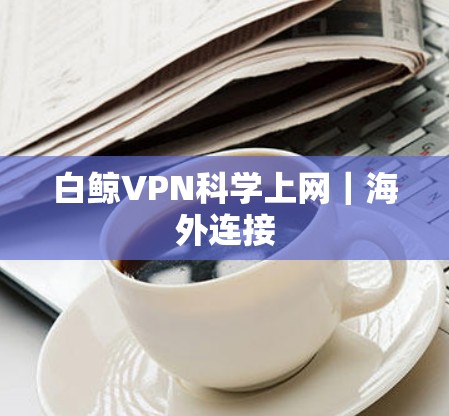 白鲸VPN科学上网｜海外连接