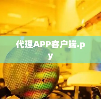 代理APP客户端.py 代理APP客户端.py