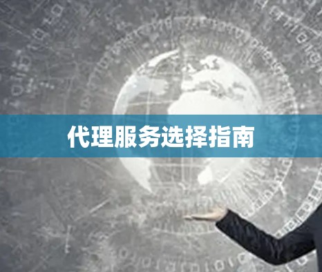 代理服务选择指南