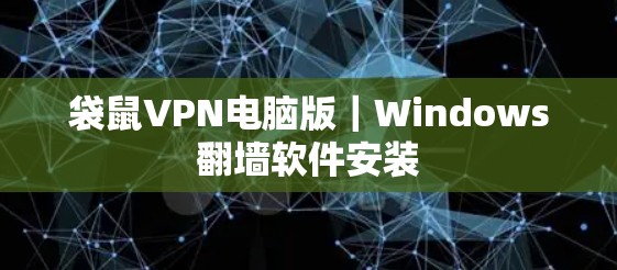 袋鼠VPN电脑版｜Windows翻墙软件安装