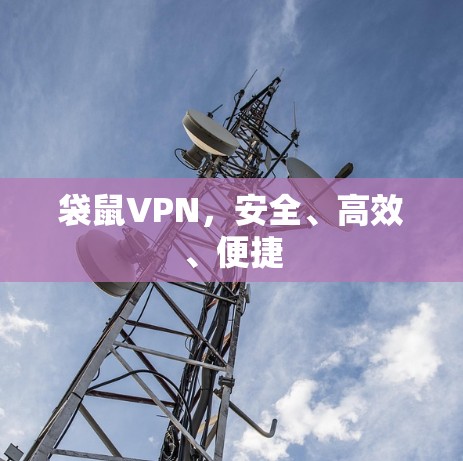 袋鼠VPN，安全、高效、便捷