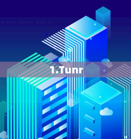 1.Tunr