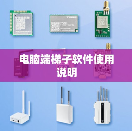 电脑端梯子软件使用说明