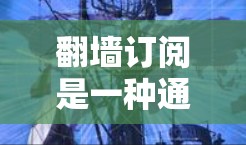翻墙订阅是一种通过访问外部网络资源来获取订阅内容的方式，适合那些不想下载大量网页或无法访问外部网站的人。以下是关于翻墙订阅的详细步骤和考虑因素