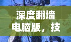 深度翻墙电脑版，技术与安全的完美融合