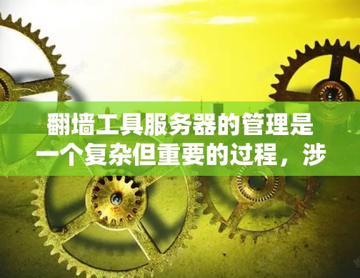 翻墙工具服务器的管理是一个复杂但重要的过程，涉及多个方面。以下是对如何管理翻墙工具服务器排行的详细分步指南