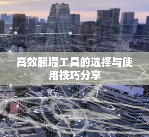 高效翻墙工具的选择与使用技巧分享