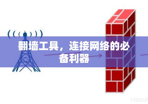 翻墙工具，连接网络的必备利器