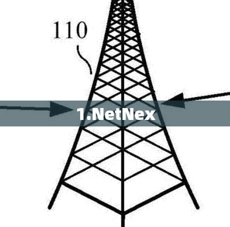 1.NetNex