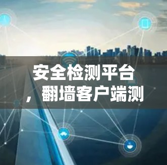 安全检测平台，翻墙客户端测试工具