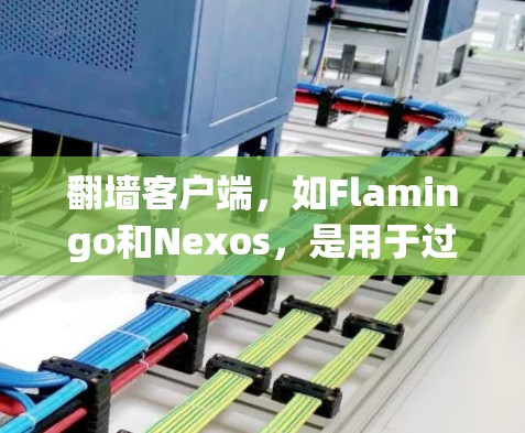 翻墙客户端，如Flamingo和Nexos，是用于过滤网络攻击的工具，帮助用户安全访问互联网资源。以下是使用Flamingo和Nexos的基本步骤